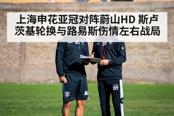 上海申花亚冠对阵蔚山HD 斯卢茨基轮换与路易斯伤情左右战局